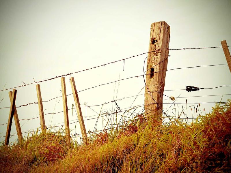iPhone内存清理<br>存储空间不足一键释放教程